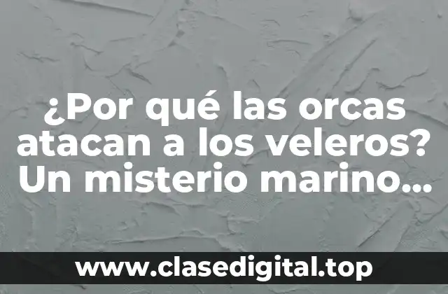El historial de ataques de orcas a veleros