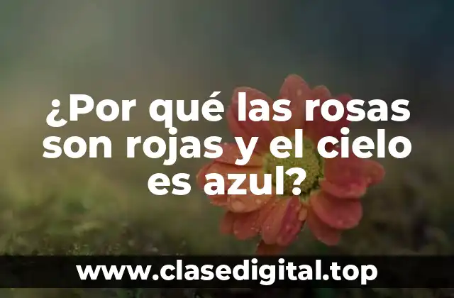 ¿Por qué las rosas son rojas y el cielo es azul?