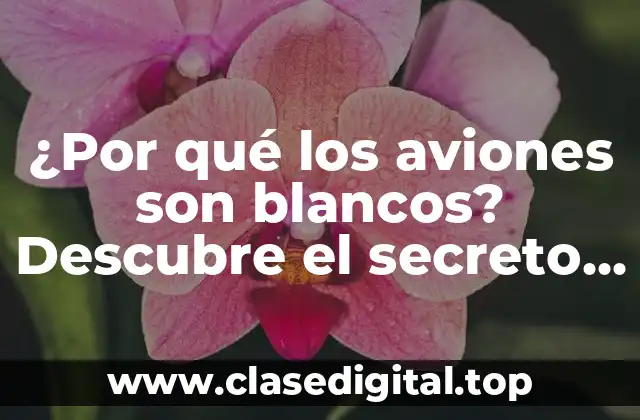 ¿Por qué los aviones son blancos? Descubre el secreto detrás del color de los aviones