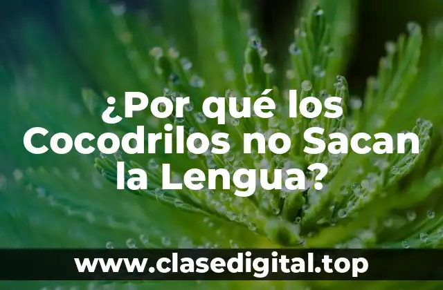 ¿Por qué los Cocodrilos no Sacan la Lengua?