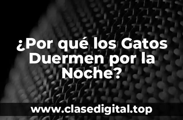 ¿Por qué los Gatos Duermen por la Noche?