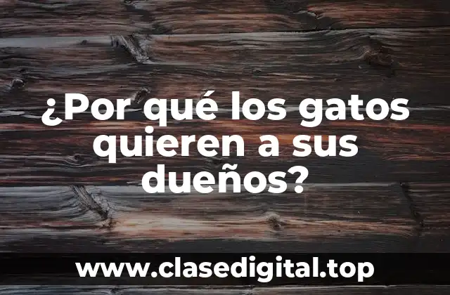 ¿Por qué los gatos quieren a sus dueños?