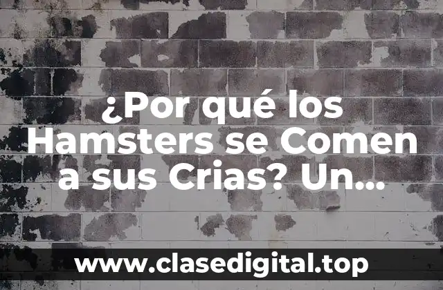 ¿Por qué los Hamsters se Comen a sus Crias? Un Misterio Desvelado