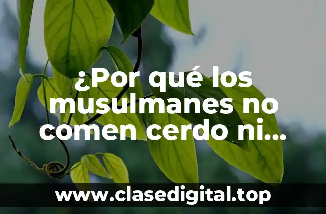 La prohibición del cerdo en el Corán