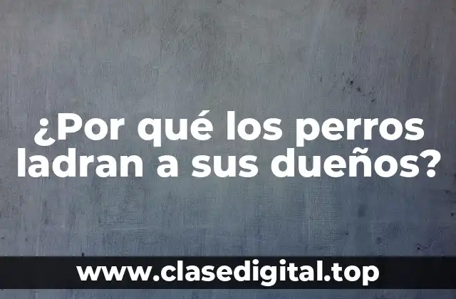 ¿Por qué los perros ladran a sus dueños?