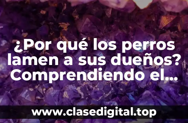 ¿Por qué los perros lamen a sus dueños? Comprendiendo el comportamiento canino