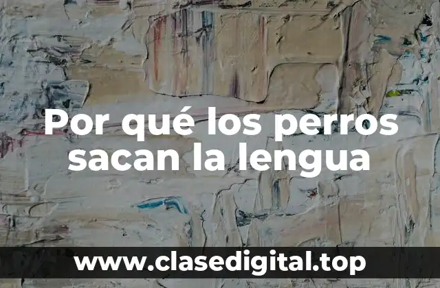 Por qué los perros sacan la lengua