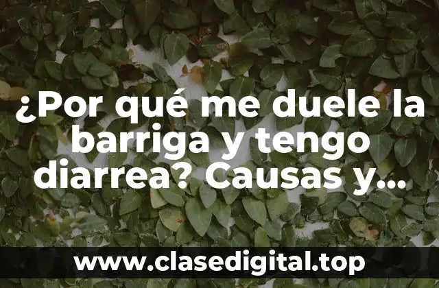¿Por qué me duele la barriga y tengo diarrea? Causas y Soluciones