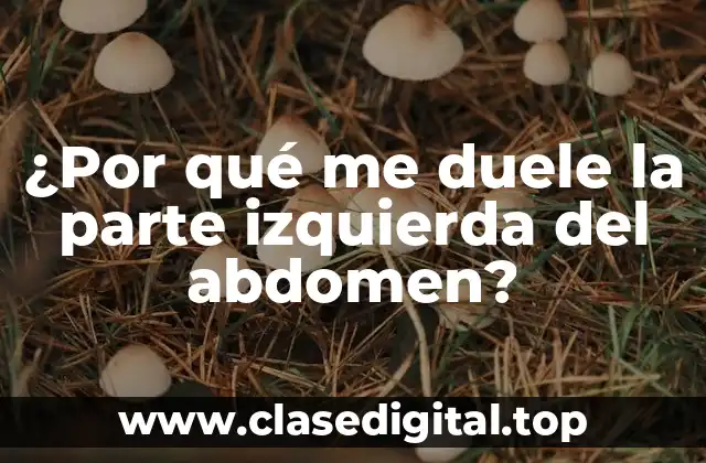 ¿Qué son los dolores abdominales izquierdos?