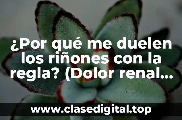 ¿Por qué me duelen los riñones con la regla? (Dolor renal menstrual)