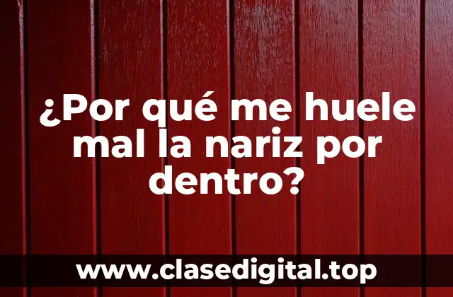 ¿Por qué me huele mal la nariz por dentro?