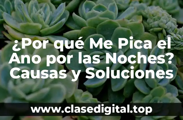 ¿Por qué Me Pica el Ano por las Noches? Causas y Soluciones