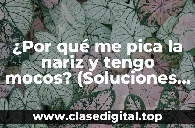 Causas comunes de la picazón en la nariz y la presencia de mocos