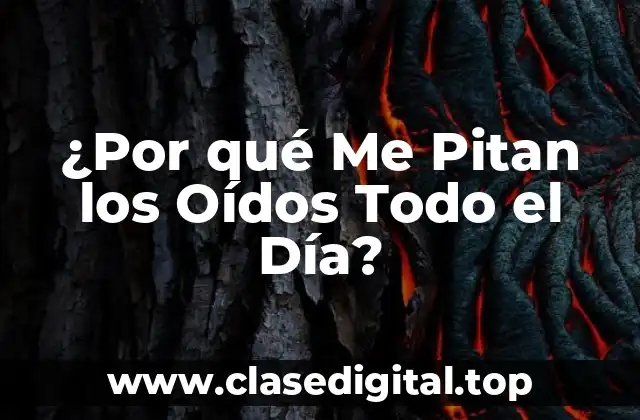 ¿Por qué Me Pitan los Oídos Todo el Día?