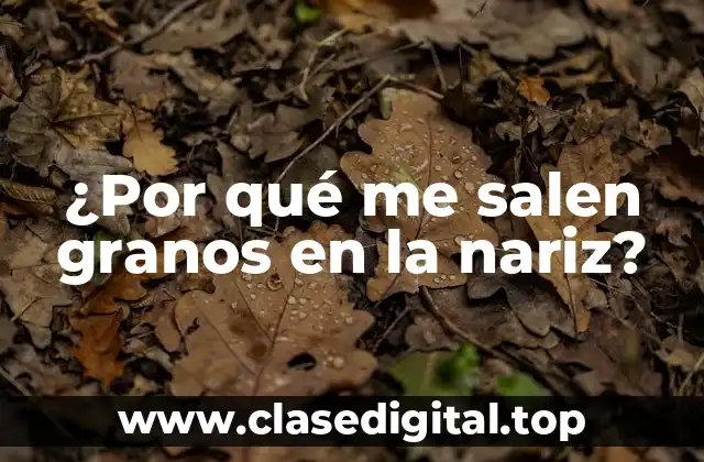 ¿Por qué me salen granos en la nariz?