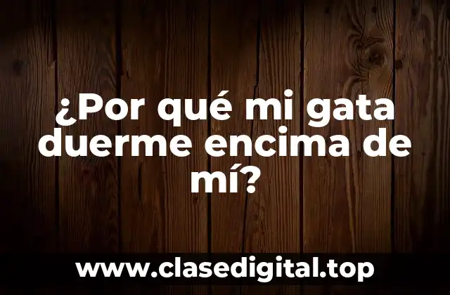 La importancia de la temperatura corporal en los gatos