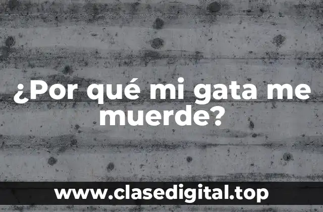 ¿Por qué mi gata me muerde?