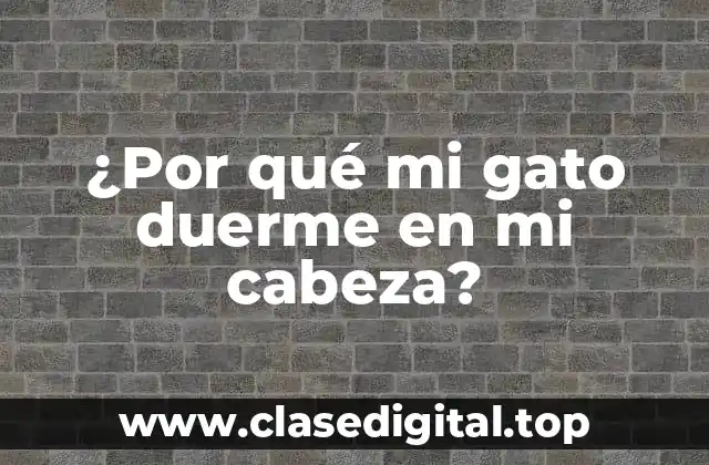 ¿Por qué mi gato duerme en mi cabeza?
