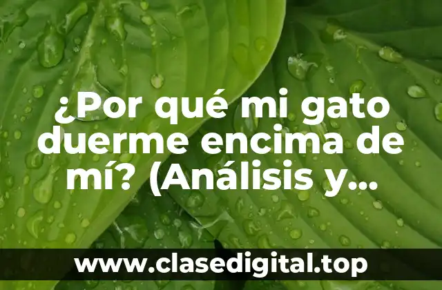 ¿Por qué mi gato duerme encima de mí? (Análisis y explicaciones)