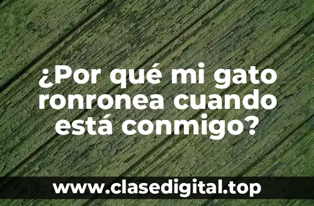 ¿Qué es el ronroneo?