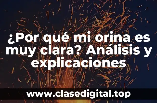 ¿Por qué mi orina es muy clara? Análisis y explicaciones