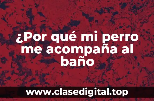 ¿Por qué mi perro me acompaña al baño