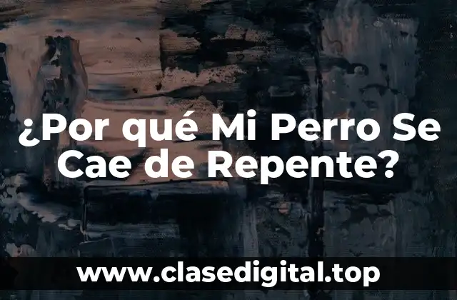 ¿Por qué Mi Perro Se Cae de Repente?