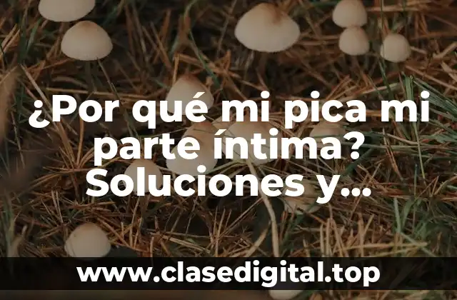 ¿Por qué mi pica mi parte íntima? Soluciones y consejos para una zona íntima saludable