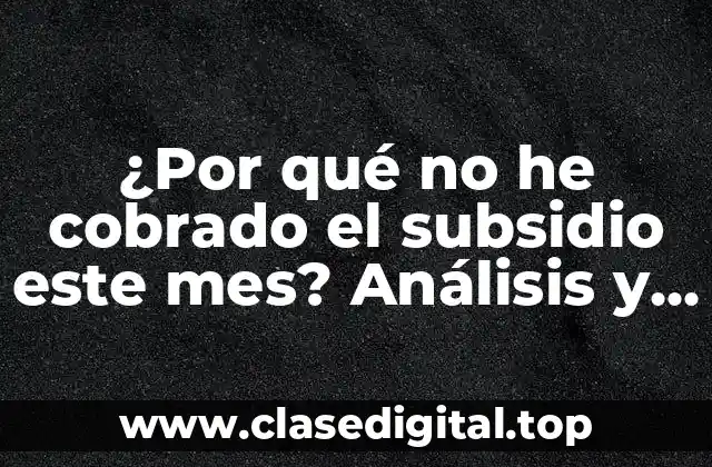 ¿Por qué no he cobrado el subsidio este mes? Análisis y soluciones