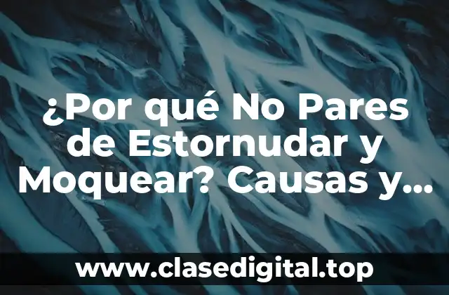 ¿Cuáles Son las Causas de No Parar de Estornudar y Moquear?