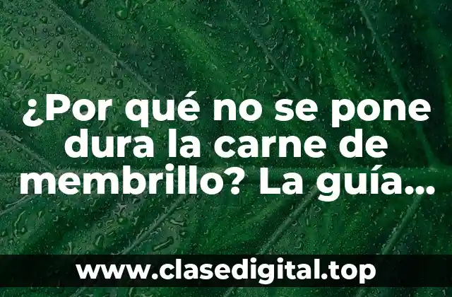 ¿Por qué no se pone dura la carne de membrillo? La guía definitiva