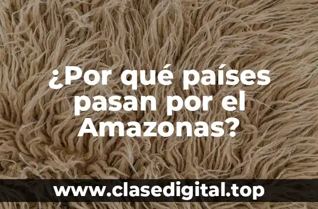 La Historia del Amazonas