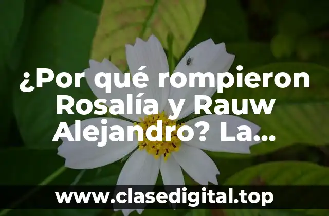 ¿Por qué rompieron Rosalía y Rauw Alejandro? La historia detrás de la separación de la pareja
