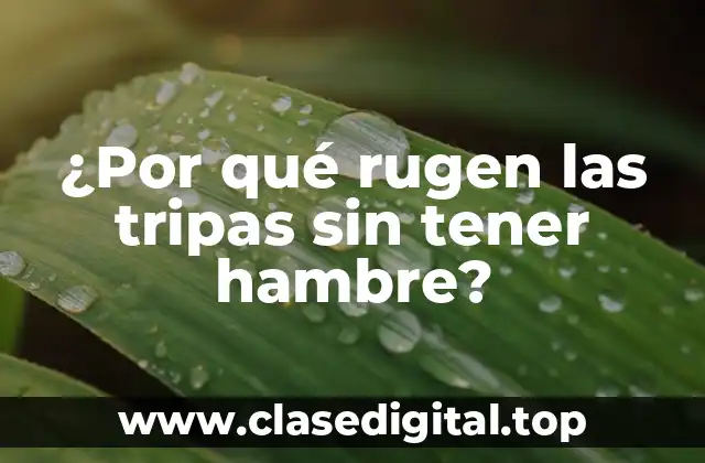 ¿Por qué rugen las tripas sin tener hambre?