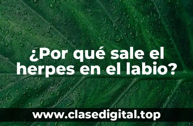¿Qué es el herpes labial?