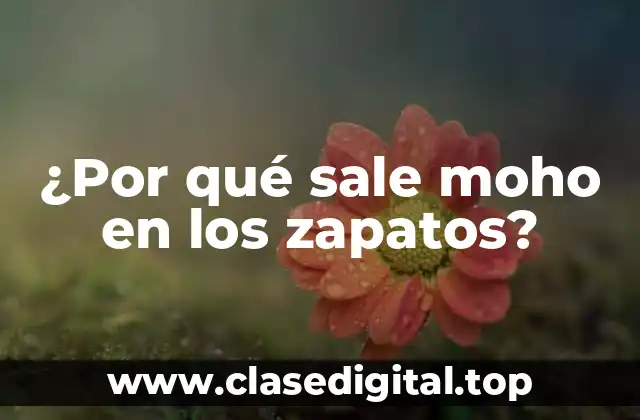 Humedad y sudor: las principales causas del moho en los zapatos