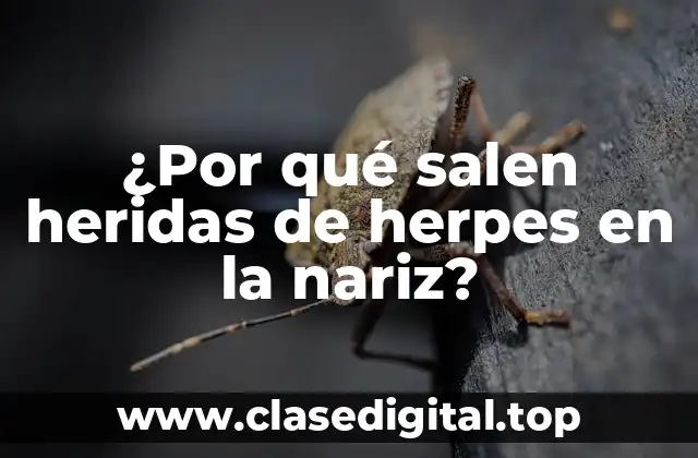 ¿Por qué salen heridas de herpes en la nariz?