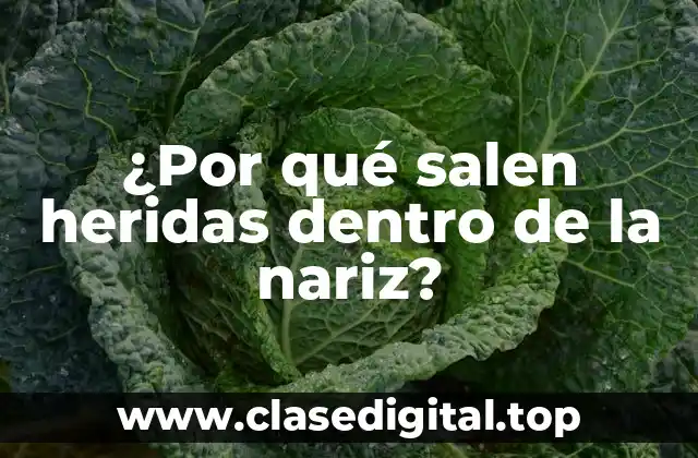 Causas de las heridas nasales