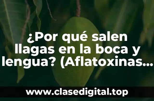 ¿Por qué salen llagas en la boca y lengua? (Aflatoxinas Orales)