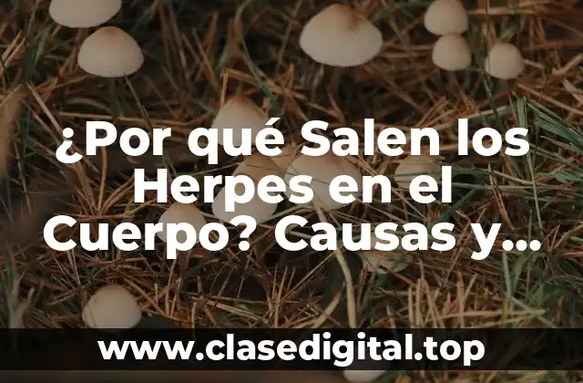 ¿Cuál es la Causa del Herpes?