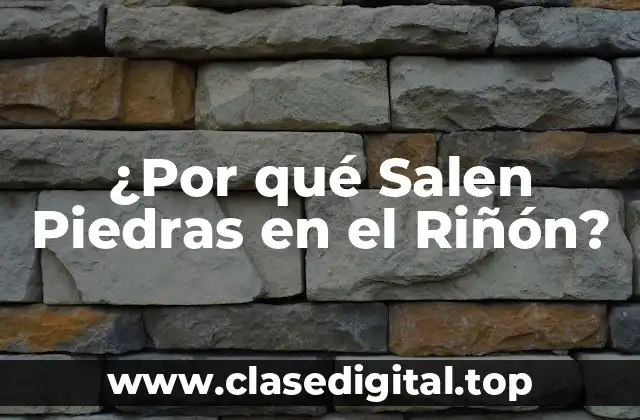 ¿Por qué Salen Piedras en el Riñón?