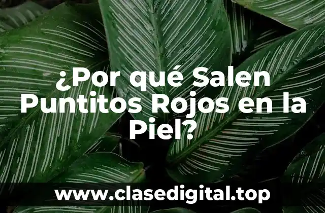 Causas de los Puntitos Rojos en la Piel