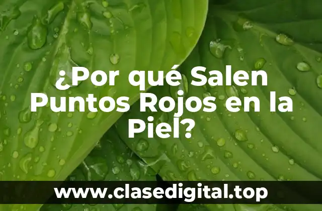 Causas Comunes de los Puntos Rojos en la Piel