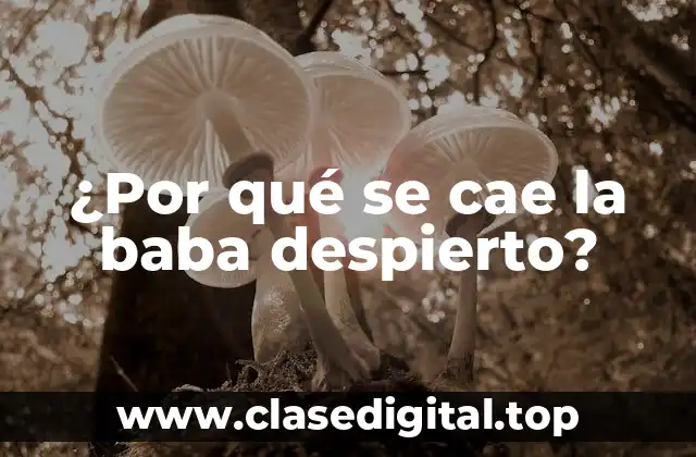 ¿Cuál es el propósito de la saliva?