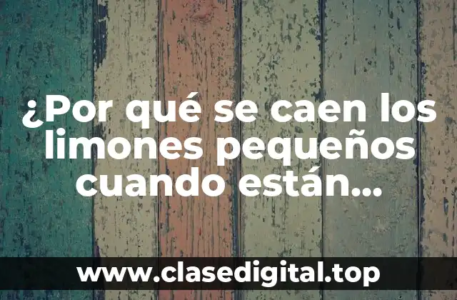 ¿Por qué se caen los limones pequeños cuando están maduros?