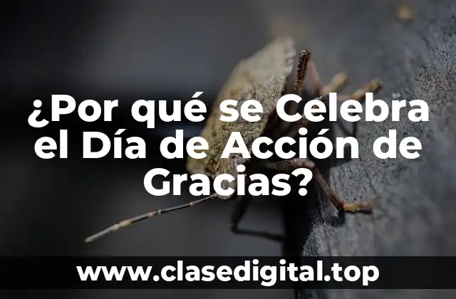 ¿Por qué se Celebra el Día de Acción de Gracias?