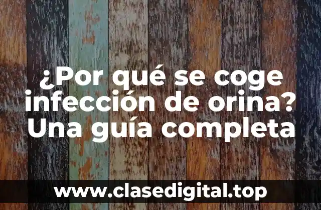 Causas de la infección de orina