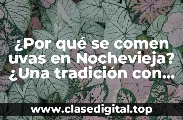 ¿Por qué se comen uvas en Nochevieja? ¿Una tradición con origen en España?