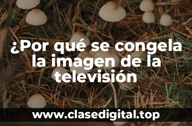 ¿Por qué se congela la imagen de la televisión