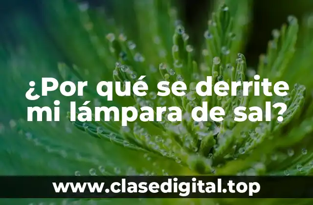 ¿Por qué se derrite mi lámpara de sal?